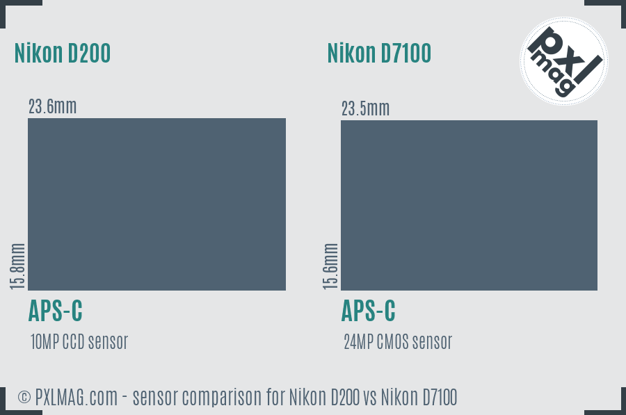 Nikon D200 vs Nikon D7100 sensor size comparison