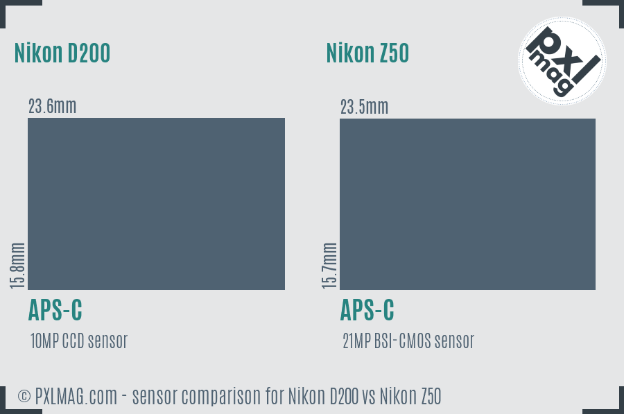 Nikon D200 vs Nikon Z50 sensor size comparison Nikon D200 vs Nikon Z50 sensor size comparison