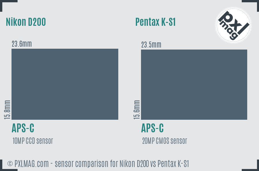 Nikon D200 vs Pentax K-S1 sensor size comparison