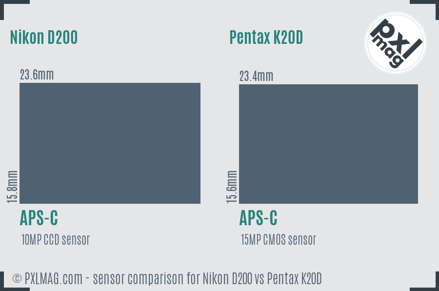 Nikon D200 vs Pentax K20D sensor size comparison