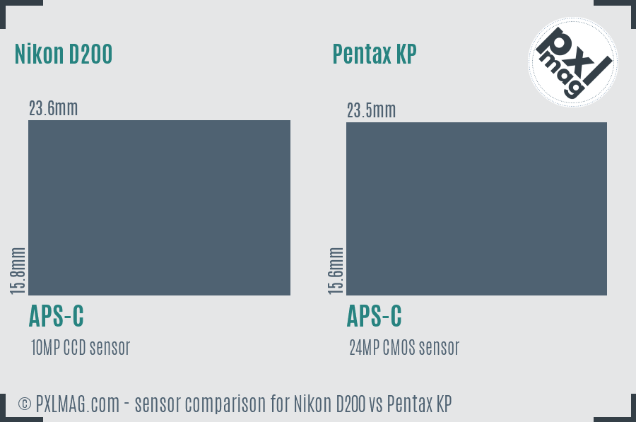 Nikon D200 vs Pentax KP sensor size comparison