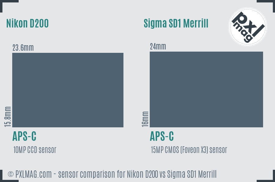 Nikon D200 vs Sigma SD1 Merrill sensor size comparison