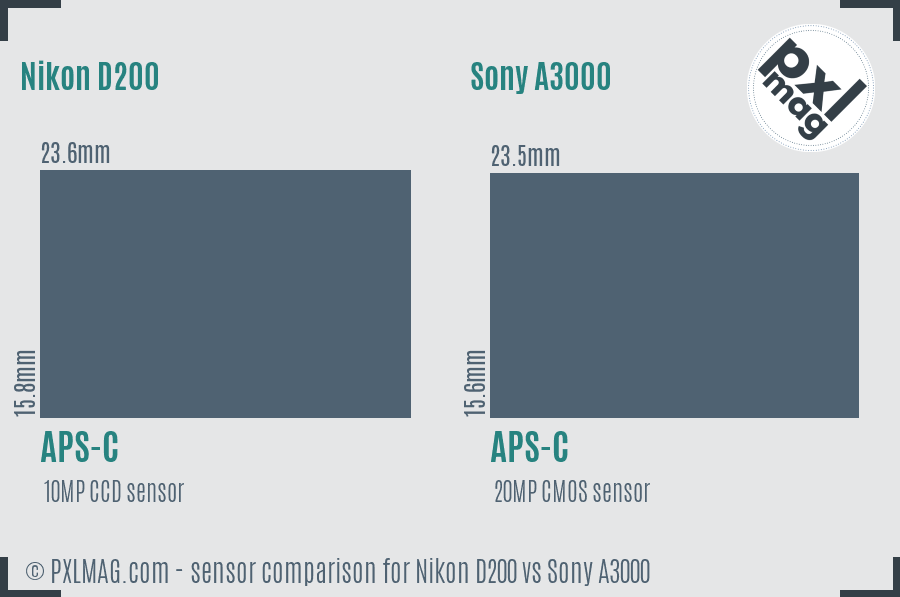 Nikon D200 vs Sony A3000 sensor size comparison