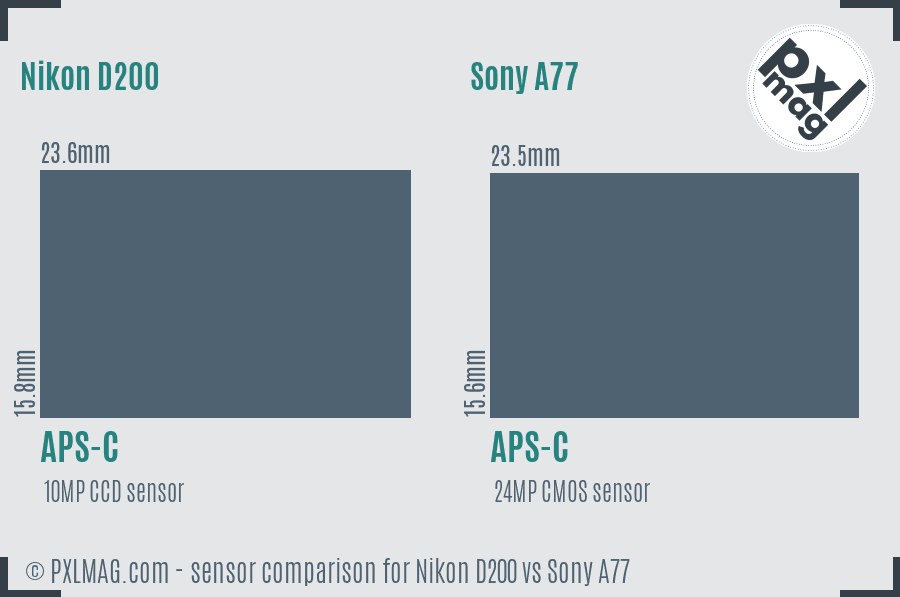 Nikon D200 vs Sony A77 sensor size comparison
