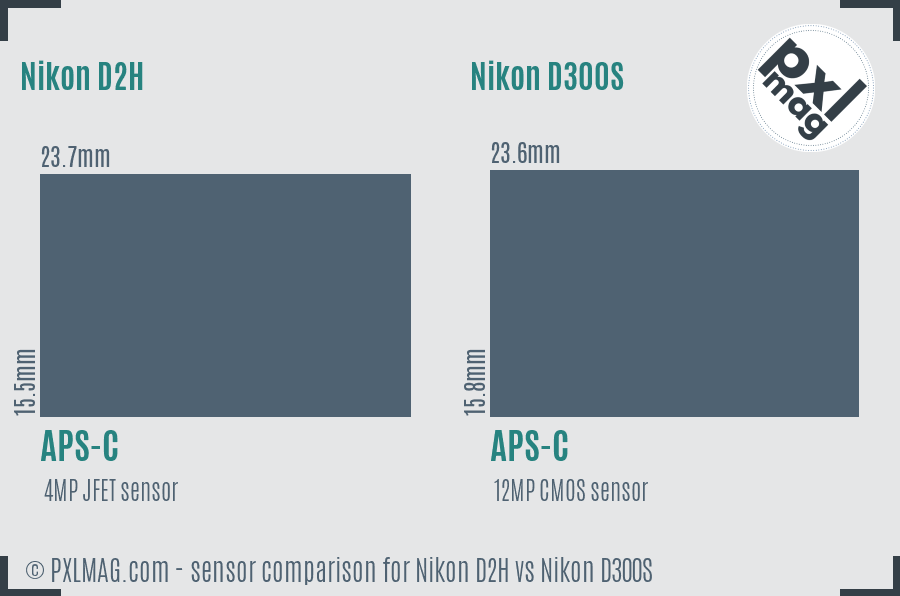 Nikon D2H vs Nikon D300S sensor size comparison