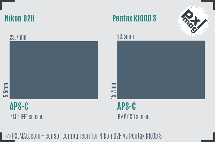 Nikon D2H vs Pentax K100D S sensor size comparison