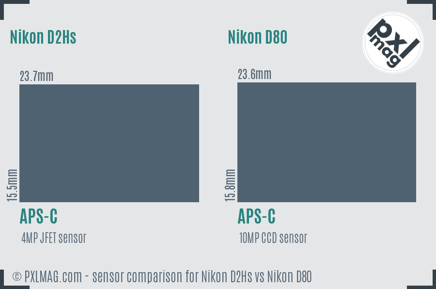 Nikon D2Hs vs Nikon D80 sensor size comparison