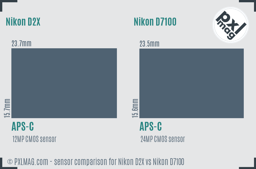Nikon D2X vs Nikon D7100 sensor size comparison Nikon D2X vs Nikon D7100 sensor size comparison