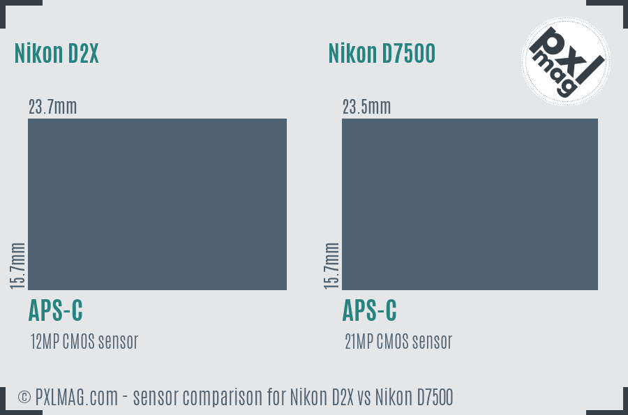 Nikon D2X vs Nikon D7500 sensor size comparison