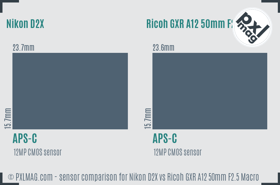 Nikon D2X vs Ricoh GXR A12 50mm F2.5 Macro sensor size comparison