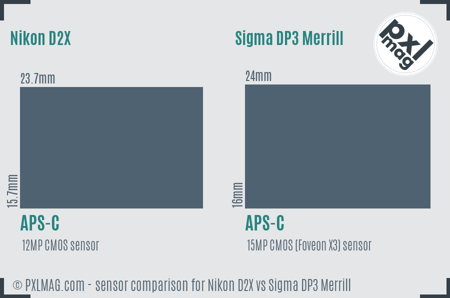 Nikon D2X vs Sigma DP3 Merrill sensor size comparison