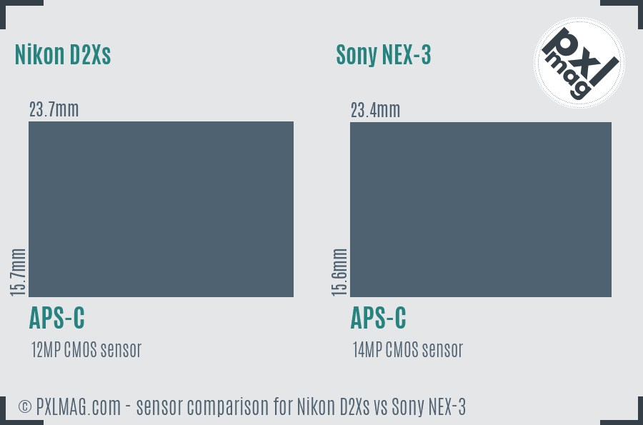 Nikon D2Xs vs Sony NEX-3 sensor size comparison