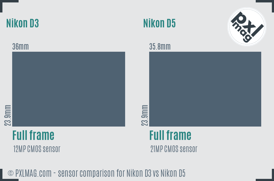 Nikon D3 vs Nikon D5 sensor size comparison
