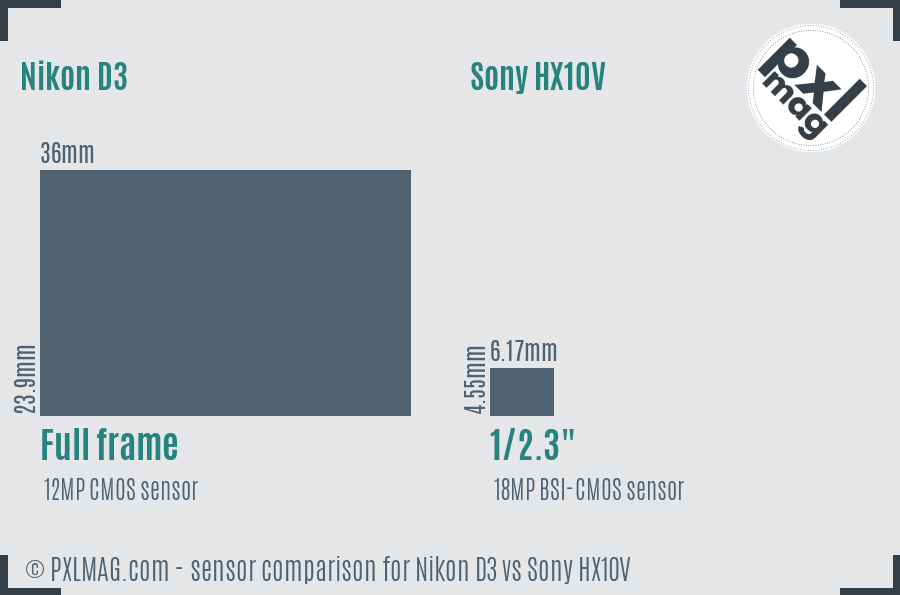 Nikon D3 vs Sony HX10V sensor size comparison