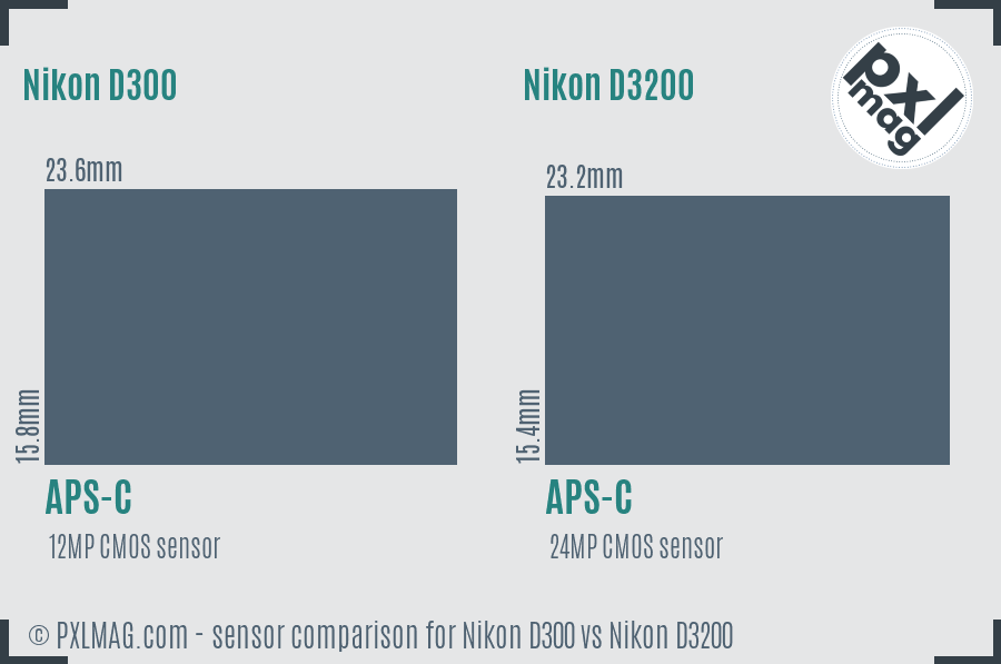 Nikon D300 vs Nikon D3200 sensor size comparison