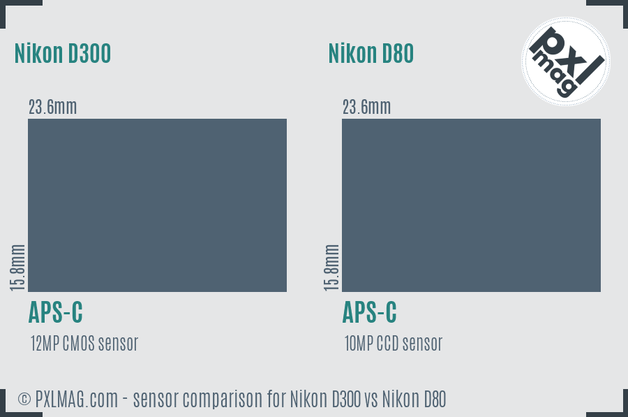 Nikon D300 vs Nikon D80 sensor size comparison