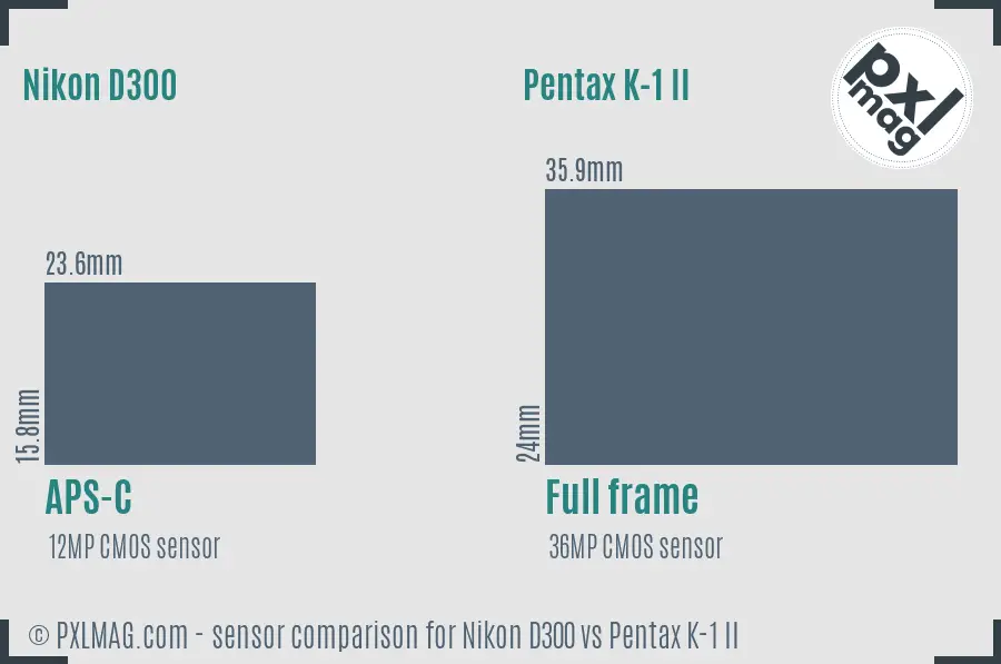 Nikon D300 vs Pentax K-1 II sensor size comparison