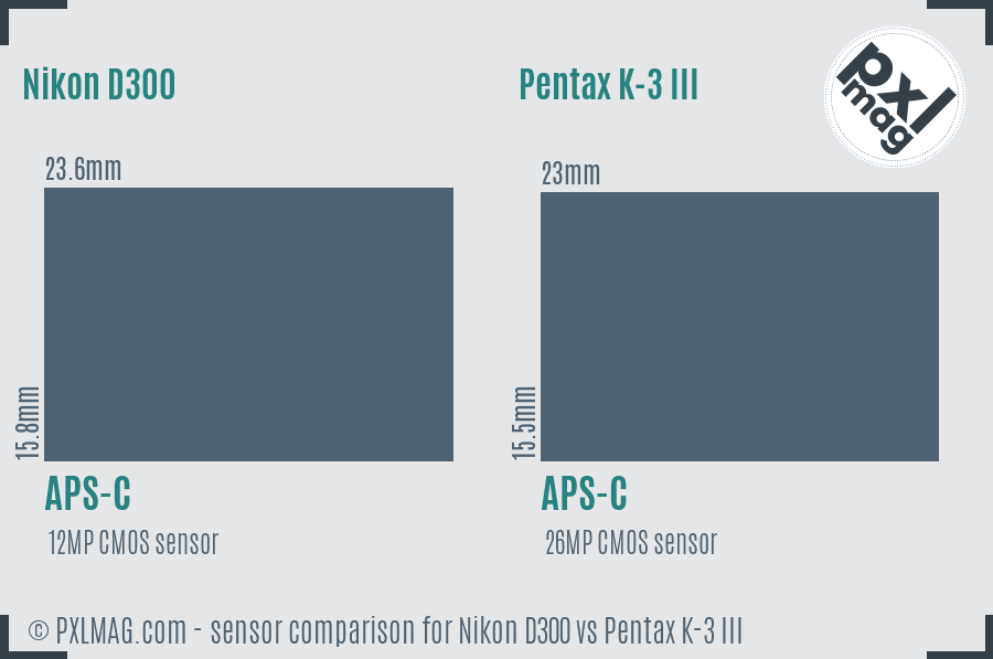 Nikon D300 vs Pentax K-3 III sensor size comparison