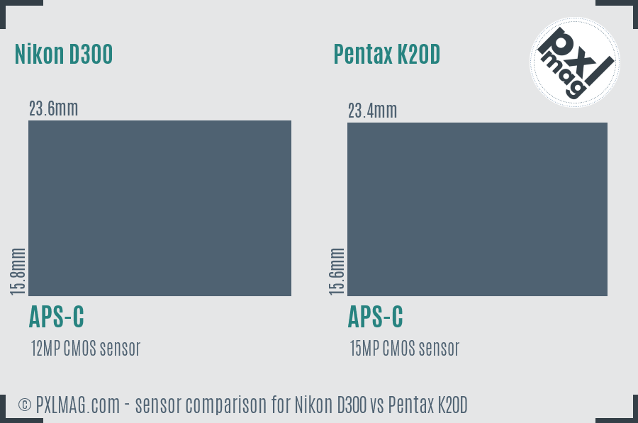 Nikon D300 vs Pentax K20D sensor size comparison