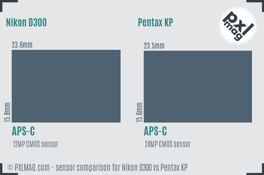 Nikon D300 vs Pentax KP sensor size comparison