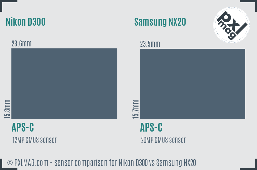 Nikon D300 vs Samsung NX20 sensor size comparison