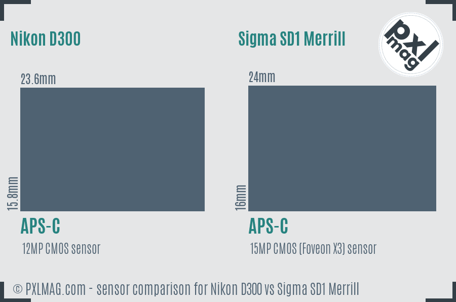 Nikon D300 vs Sigma SD1 Merrill sensor size comparison Nikon D300 vs Sigma SD1 Merrill sensor size comparison