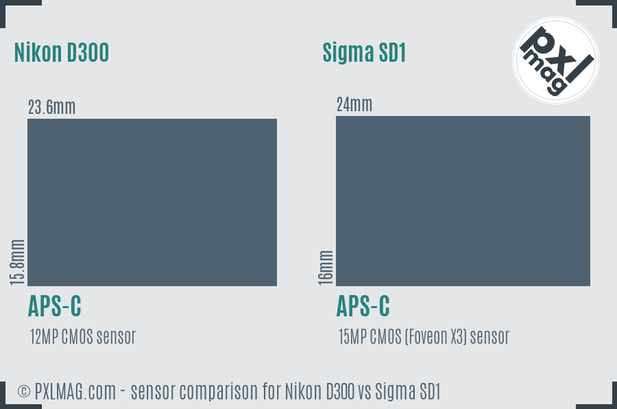 Nikon D300 vs Sigma SD1 sensor size comparison