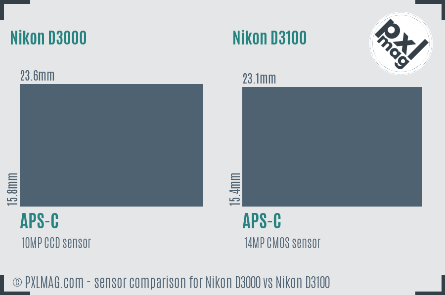 Nikon D3000 vs Nikon D3100 sensor size comparison