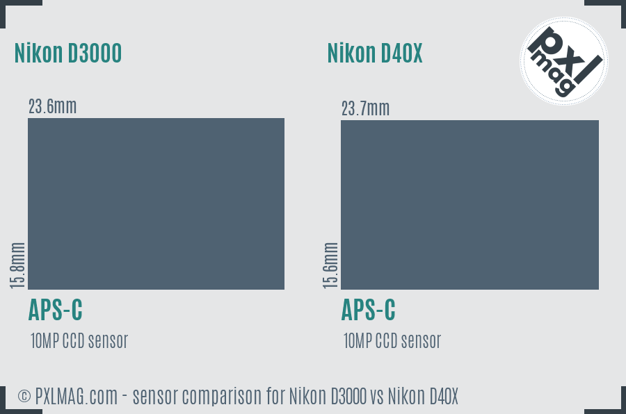 Nikon D3000 vs Nikon D40X sensor size comparison