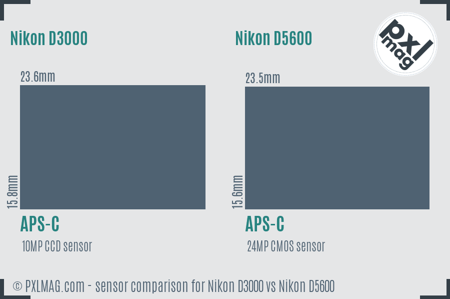 Nikon D3000 vs Nikon D5600 sensor size comparison