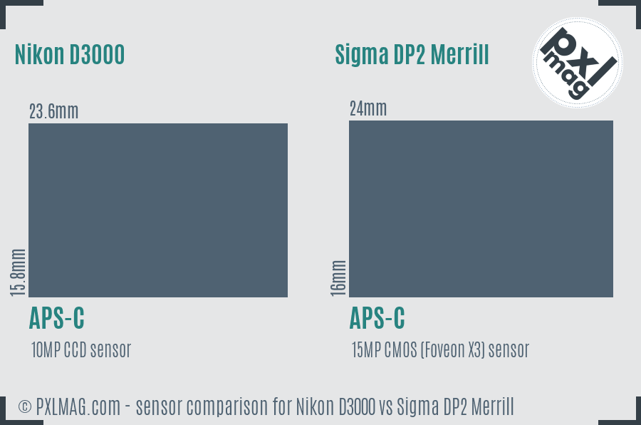 Nikon D3000 vs Sigma DP2 Merrill sensor size comparison