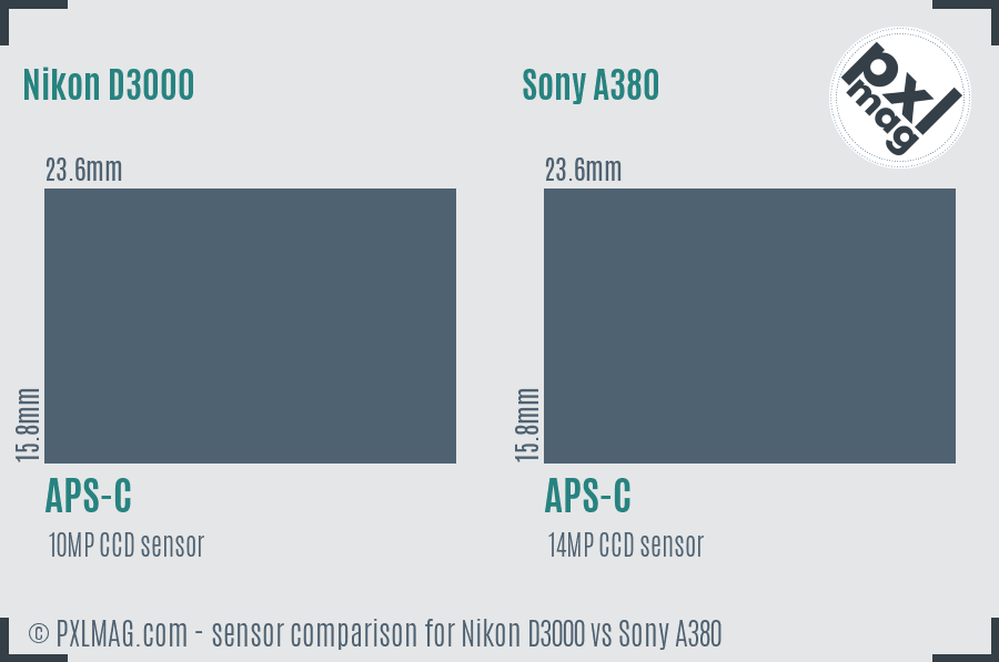Nikon D3000 vs Sony A380 sensor size comparison
