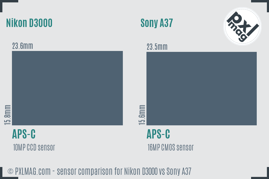 Nikon D3000 vs Sony A37 sensor size comparison