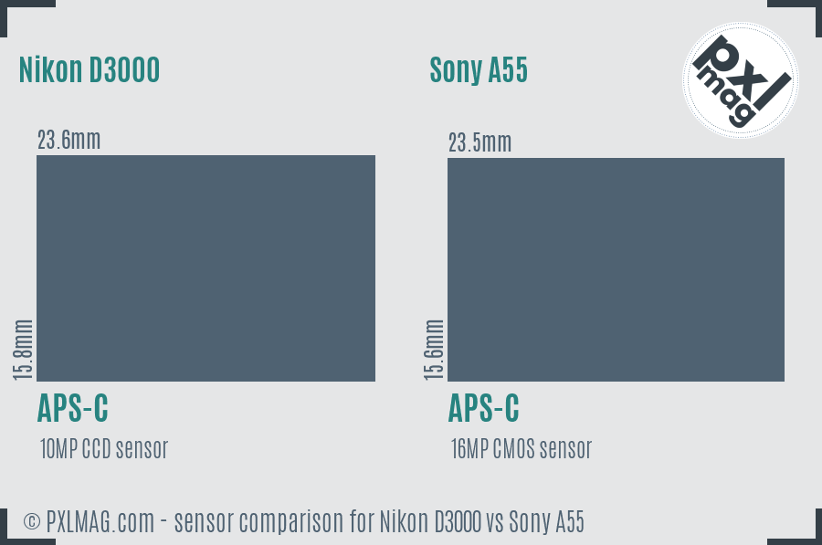 Nikon D3000 vs Sony A55 sensor size comparison