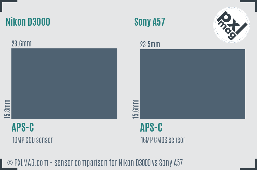 Nikon D3000 vs Sony A57 sensor size comparison