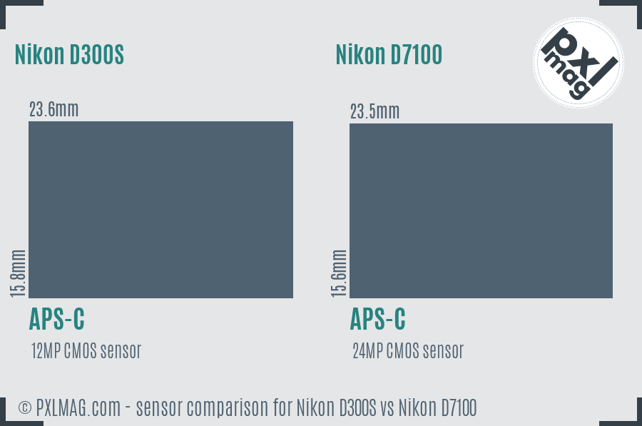 Nikon D300S vs Nikon D7100 sensor size comparison