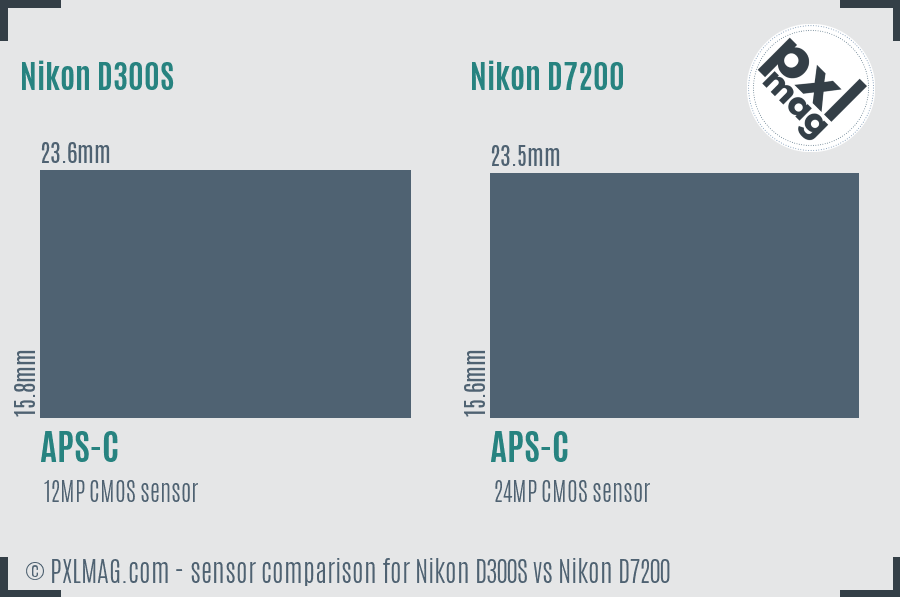 Nikon D300S vs Nikon D7200 sensor size comparison