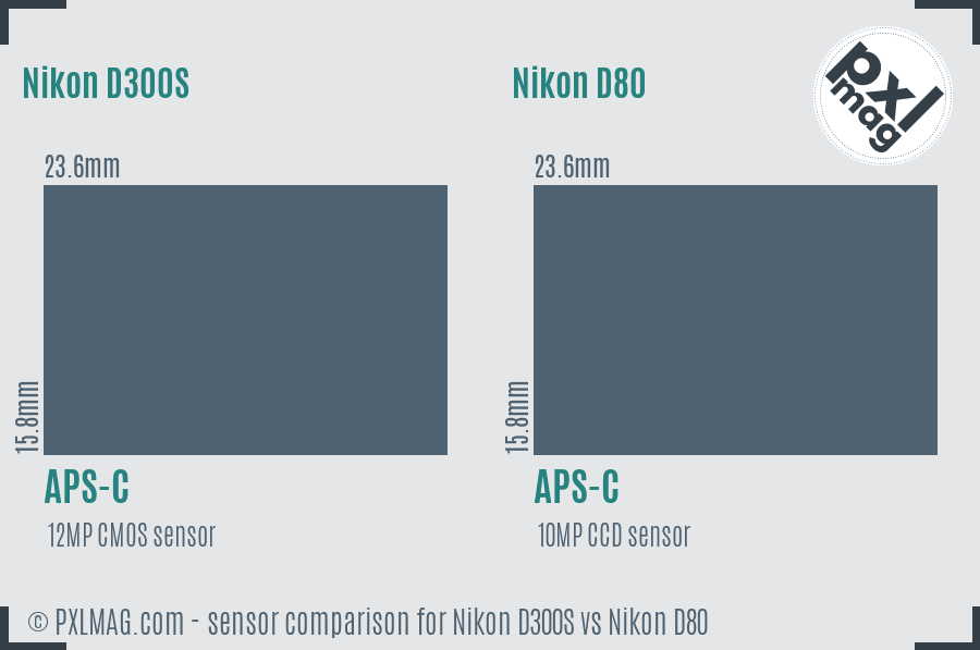Nikon D300S vs Nikon D80 sensor size comparison
