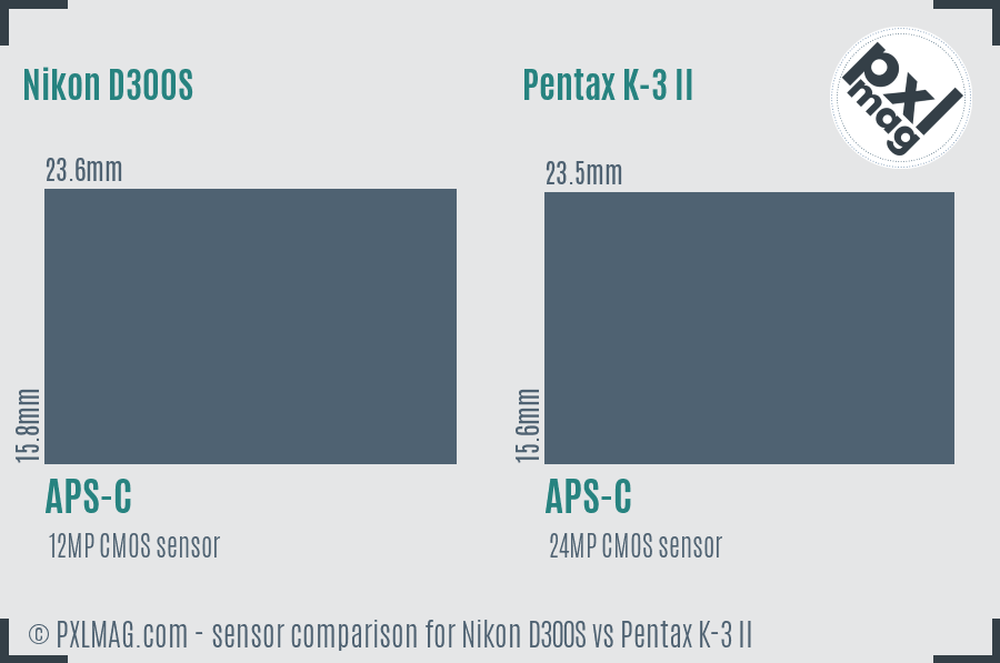 Nikon D300S vs Pentax K-3 II sensor size comparison
