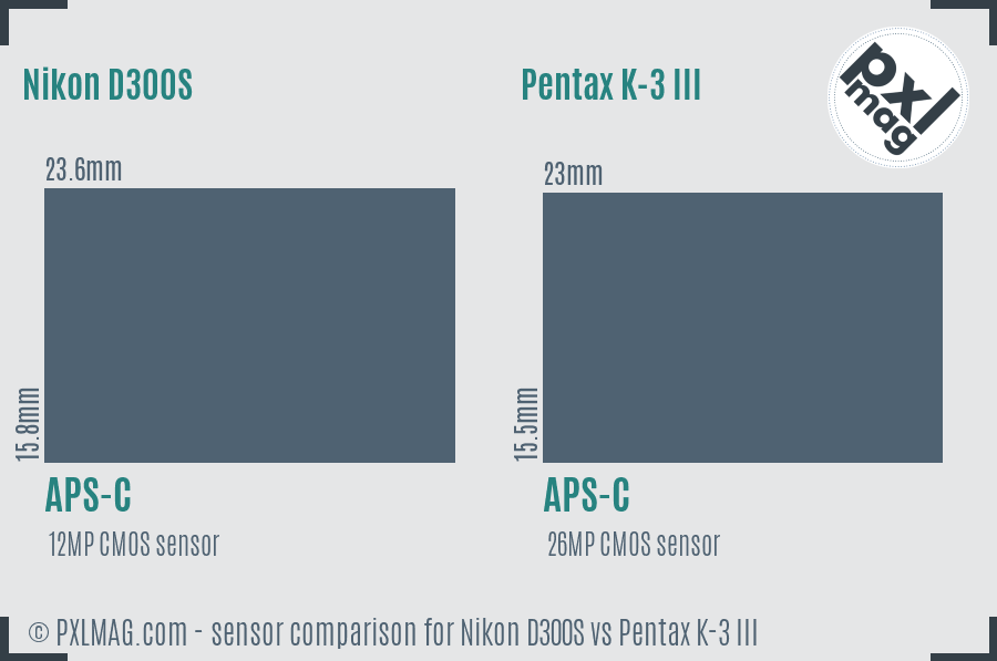 Nikon D300S vs Pentax K-3 III sensor size comparison