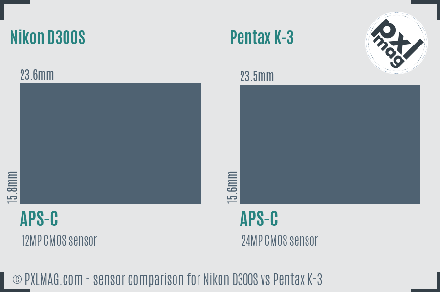 Nikon D300S vs Pentax K-3 sensor size comparison