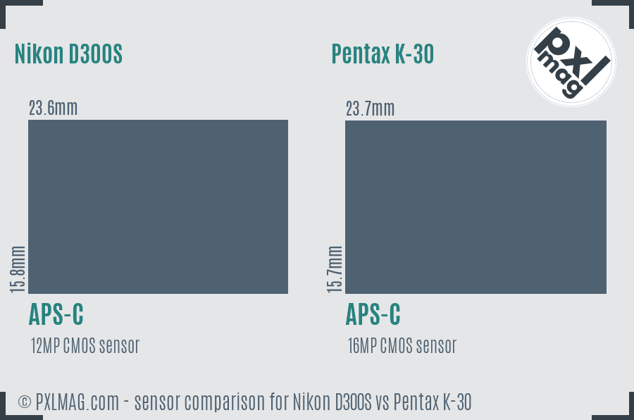 Nikon D300S vs Pentax K-30 sensor size comparison