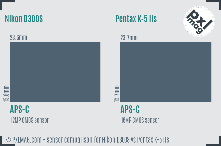 Nikon D300S vs Pentax K-5 IIs sensor size comparison