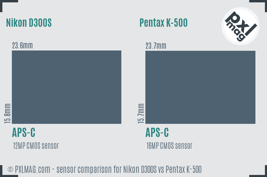 Nikon D300S vs Pentax K-500 sensor size comparison