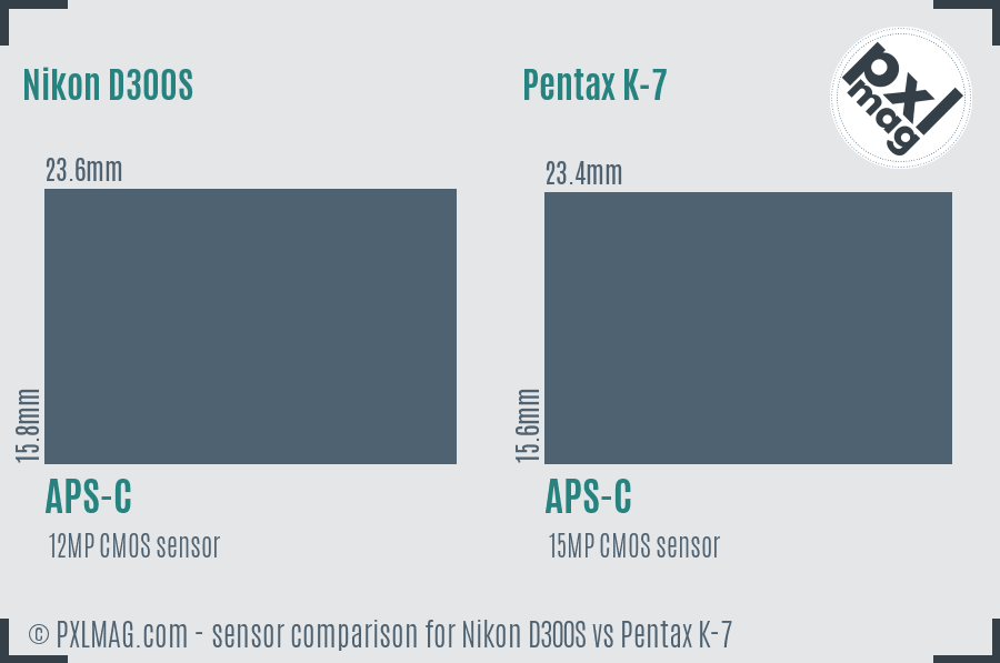 Nikon D300S vs Pentax K-7 sensor size comparison