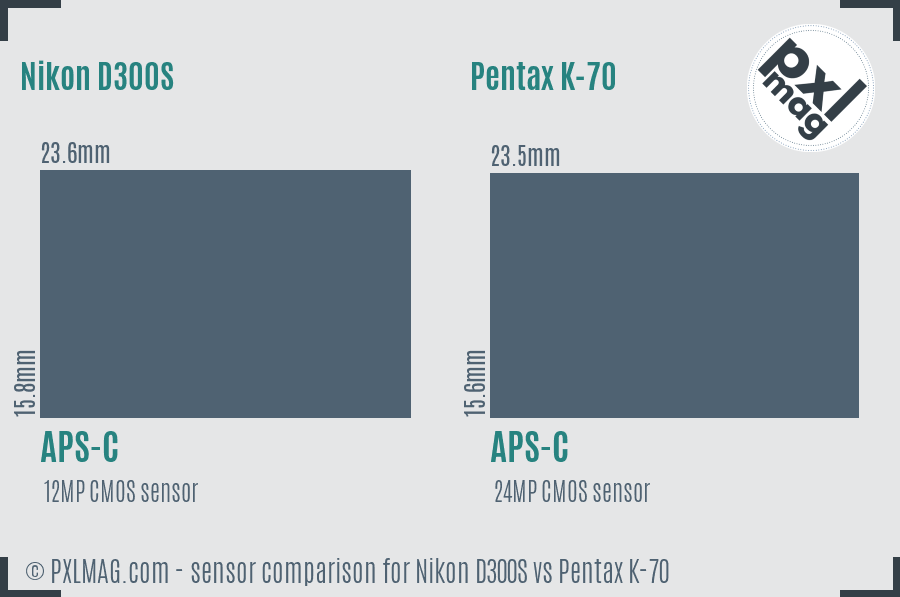 Nikon D300S vs Pentax K-70 sensor size comparison
