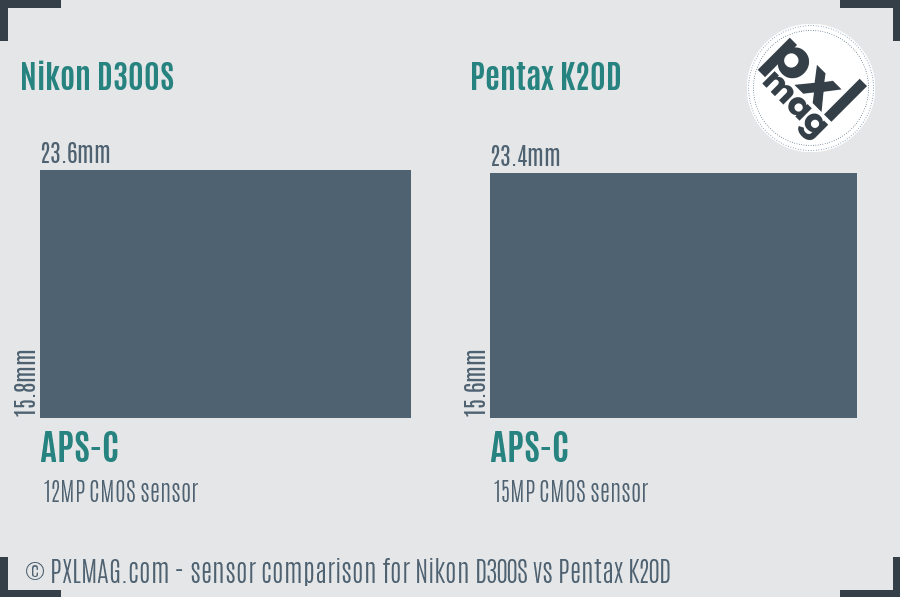 Nikon D300S vs Pentax K20D sensor size comparison