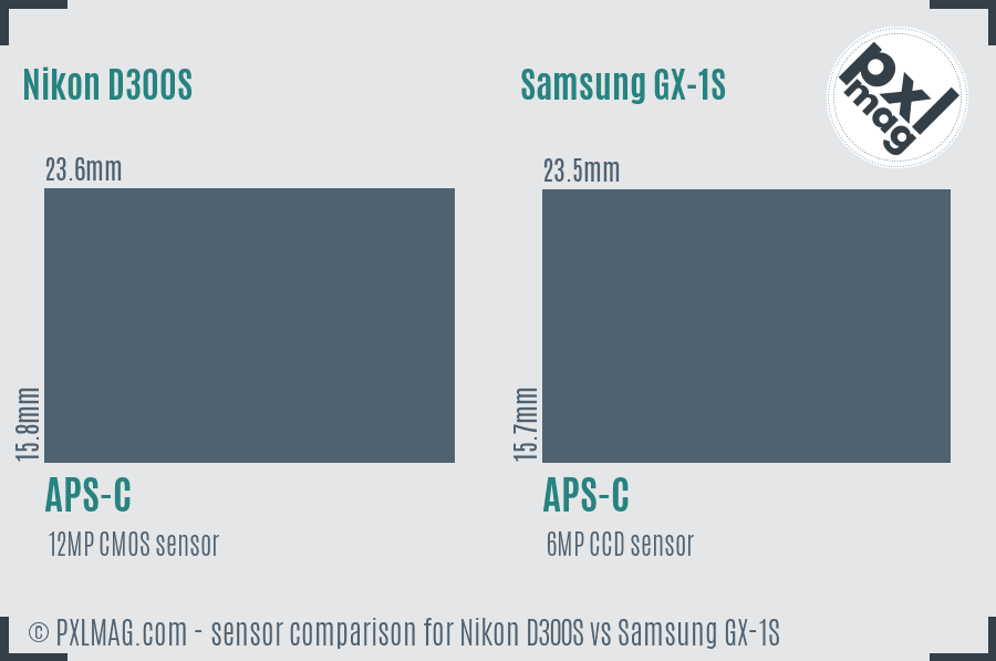 Nikon D300S vs Samsung GX-1S sensor size comparison