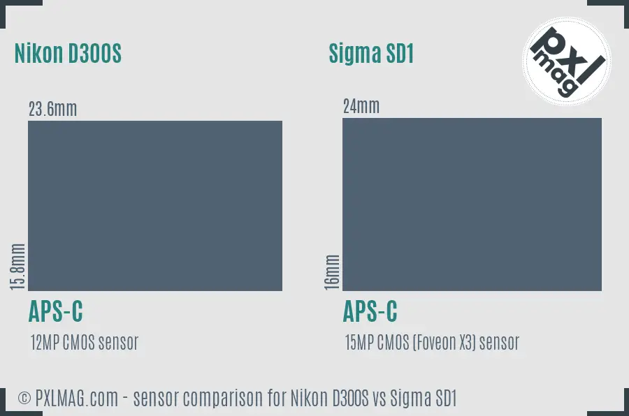 Nikon D300S vs Sigma SD1 sensor size comparison