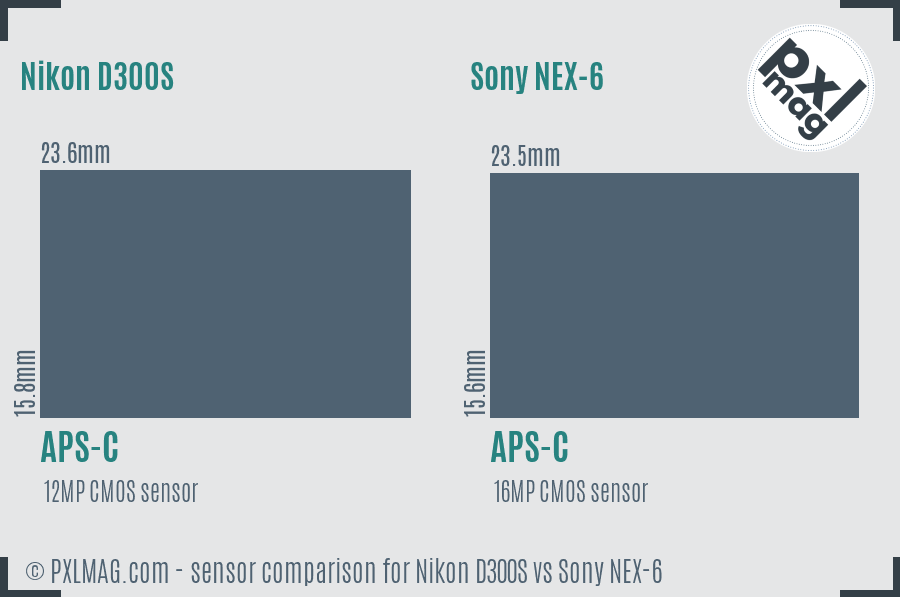 Nikon D300S vs Sony NEX-6 sensor size comparison